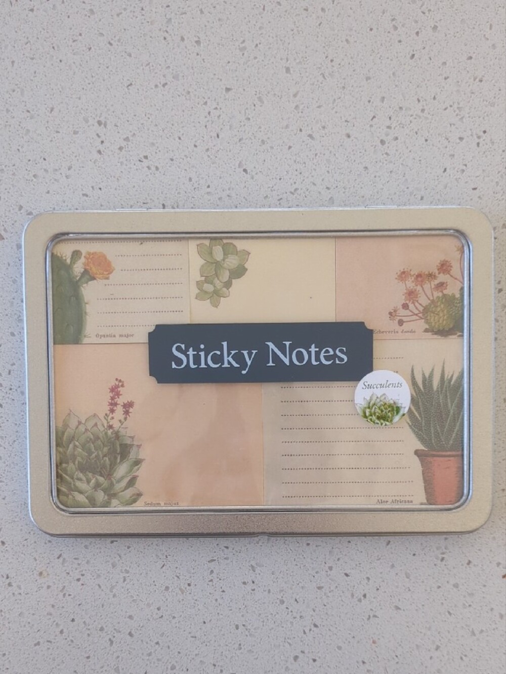 Succulent Pencil Set & Sticky Notes Tin - Floral Green - Picture 2 of 9